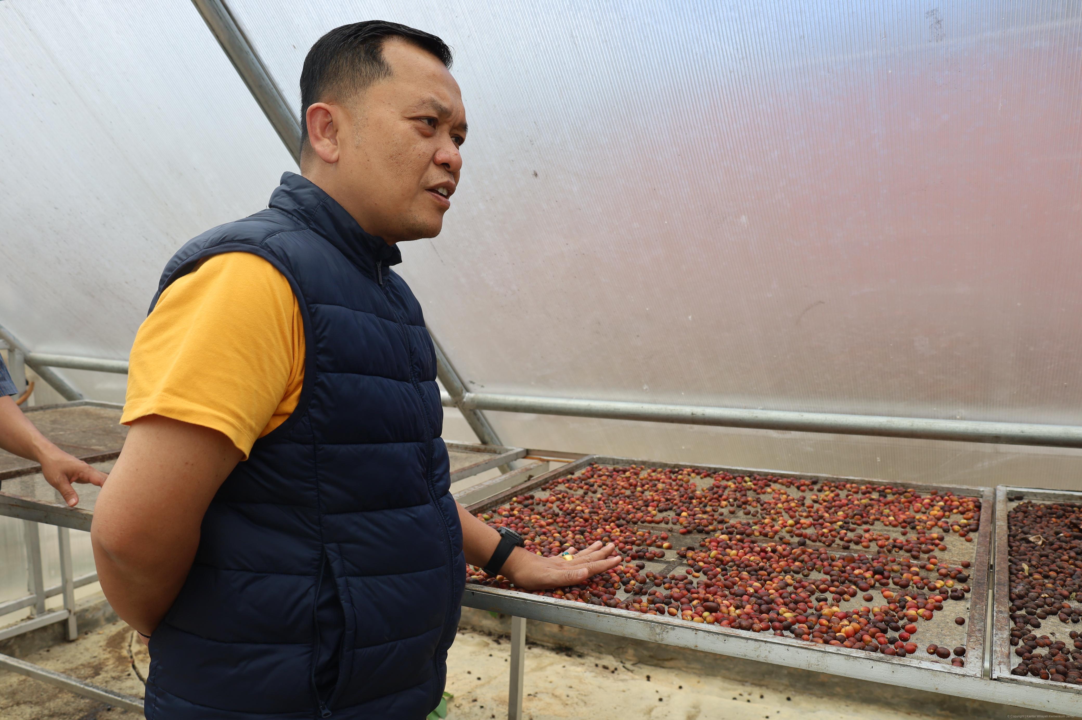Kopi_Robusta_Sei_Penuh_11.JPG
